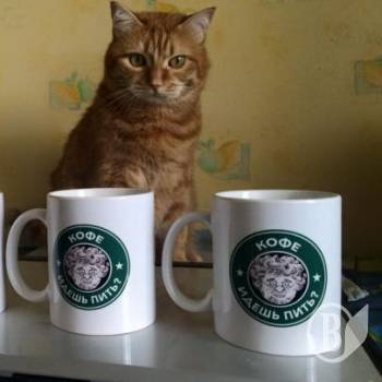 ��������� ������� ����������� ������� �������� � ����� �� 8 �����