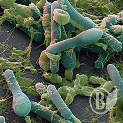 Ƴ��� ������� �� ������-�������