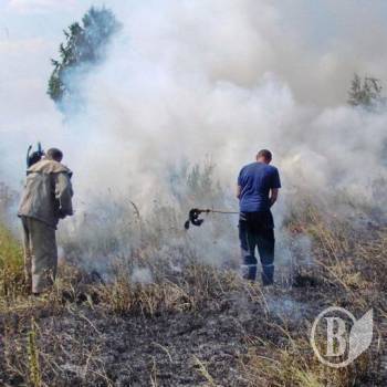 ����� ����� � ������ 6 ��� �� ����