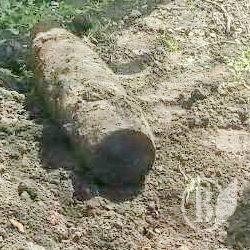 ���� �������� ��������� �� ������� ������