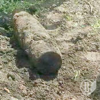 ���� �������� ��������� �� ������� ������