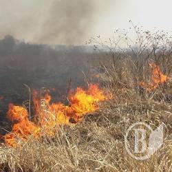 � ������ ��� �����䳻 ����� 11 ����