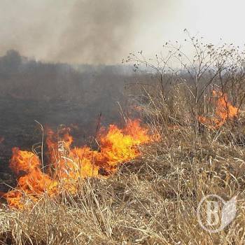 � ������ ��� �����䳻 ����� 11 ����