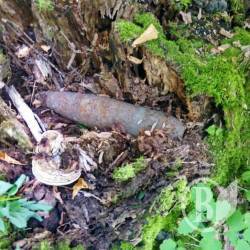 ���� �������� �������� ������