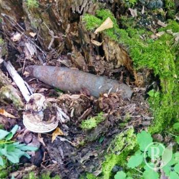 ���� �������� �������� ������