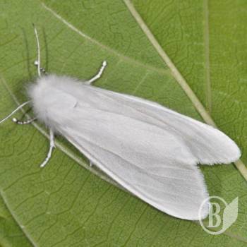 �� ����������� ������� �� ��������. � ��������� �������