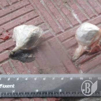 �� �������� �����, �� ���� ��� 璿�?