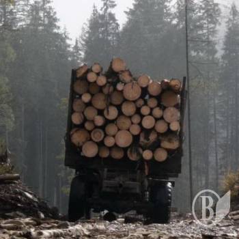 ˳� ���������� ���� �� ��������� � ���������