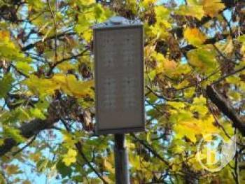 ������ ����� ������� ����������. �� ���?