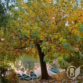 ������� ���������� ���� �� ���� �������