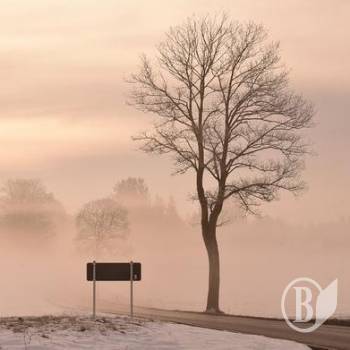 ���� �� �������� ������ �������