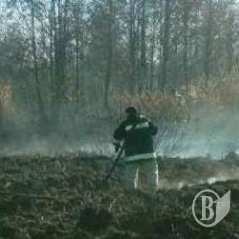 ��������� ���������� ������� �������� �������� �� 60 ��������