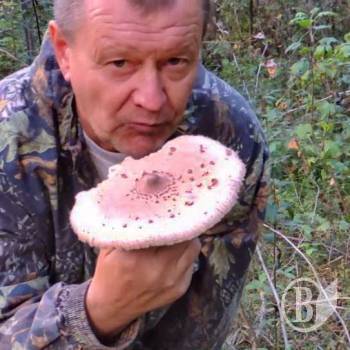 ������ �����, �� ����� ����� �����?