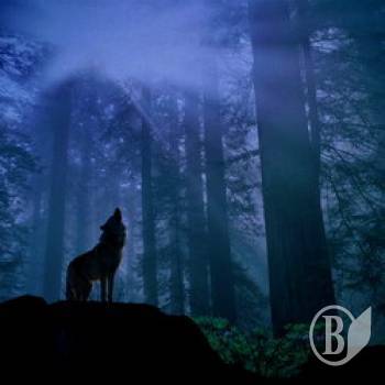 ��������-���� ������ � ��������� �� �� 86-����� �����