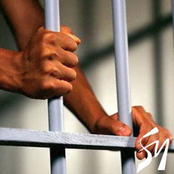 ���������� ������������ ��� ��� 11 ����