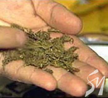 ����� ��������� ��, ����� ����� ������ �������?