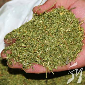 ������� ���� � �������� ���� ������ ��������������