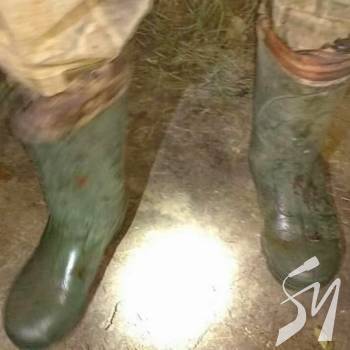 �������� ����������� ����� ������ ���������� ����������