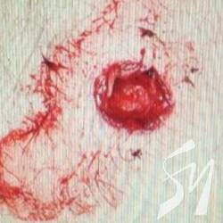 ������� � ������� ���������