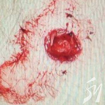 ������� � ������� ���������