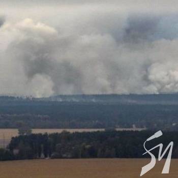 43 ������ �������� � �������� ������ � �� �� ������� ������ �� ����� 13 ���������