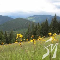 Vodafone ������ �������� ������ 4G �� ���������