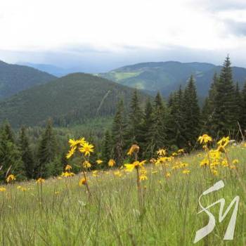 Vodafone ������ �������� ������ 4G �� ���������