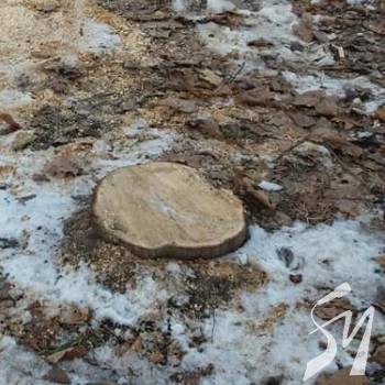 �� ��������� ��������� ������� ����