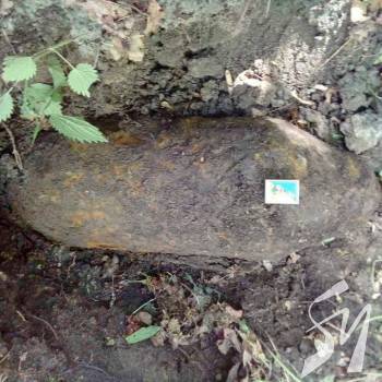 ���� ������������� ������� �����