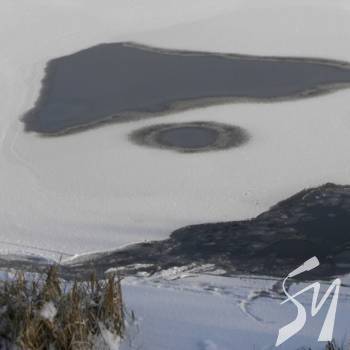 �� ����� ������� ������������