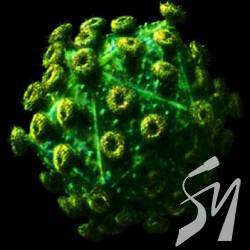 �Ͳ��� � 60% ������� ��������� �� ��� ��������