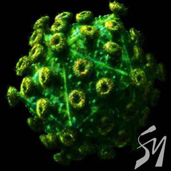 �Ͳ��� � 60% ������� ��������� �� ��� ��������