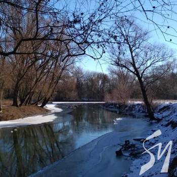 �������� ����� �� ����