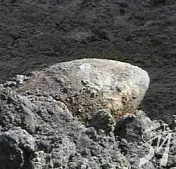 ���������� ���������� ������� ������ � �������� �� ����