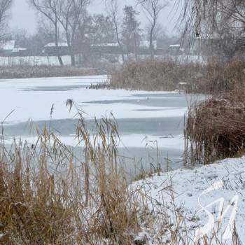 ������ �����糿 �� ³����� �������