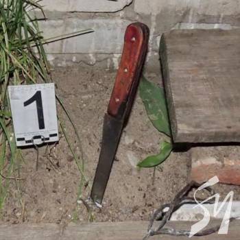 �����-������ ���� �������� 14 ����