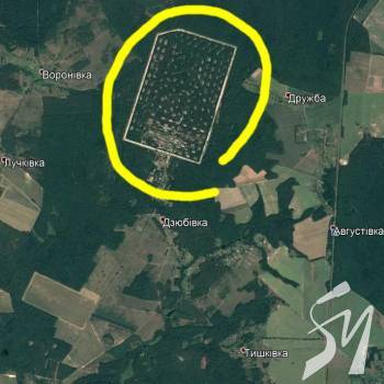 ������ �������� ������� ���������, �� ���������� � ��������� 6 ��������