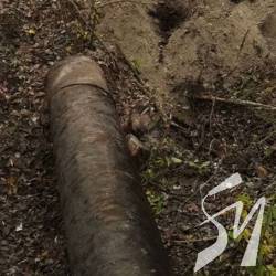 ʳ���� ������� ���� ���� ��� ���� � �������