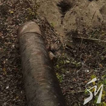 ʳ���� ������� ���� ���� ��� ���� � �������