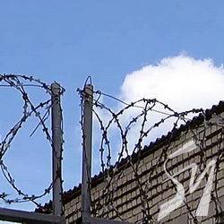 ��������� ����� ���� ������