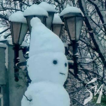 ��� ������ �� ���� ������ ��������� � ��������-ѳ���������