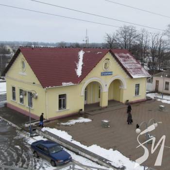 ���� ���� 81-������� ����� � ���������