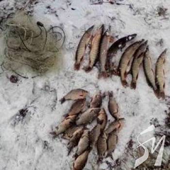 � ������ �������� 130 ����������