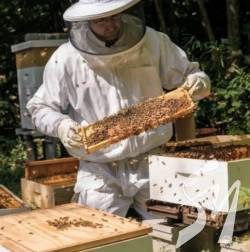 ��� ���������� ����������� ���������