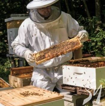 ��� ���������� ����������� ���������