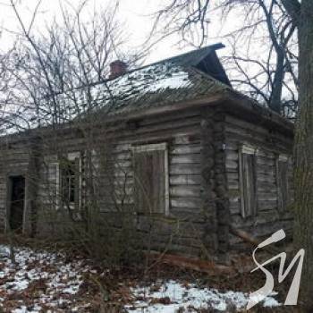 �� ���� ������ ������?