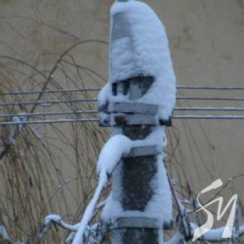 ������ ��������� � ��������, �� ��������� �������