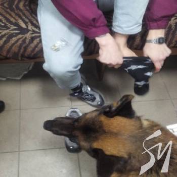 ǳ��� �� ������ �� ������ � � ����������