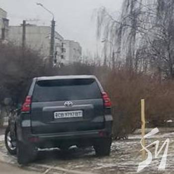 �� ��������� ������ ����곻 ���� �������