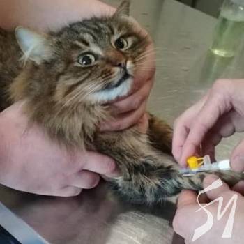 �� ���� �����������. � ����